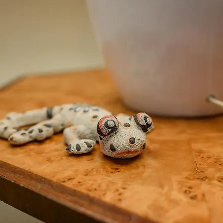 W Dolinie Slonca Διαμέρισμα *