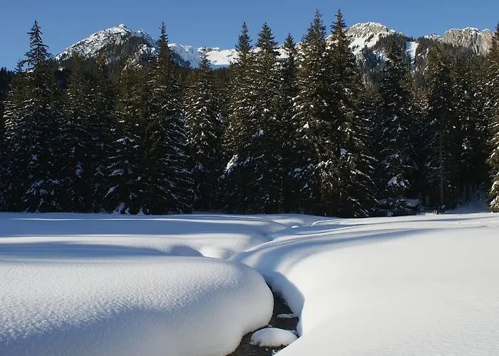 شقة W Dolinie Slonca كوشتيليسكا